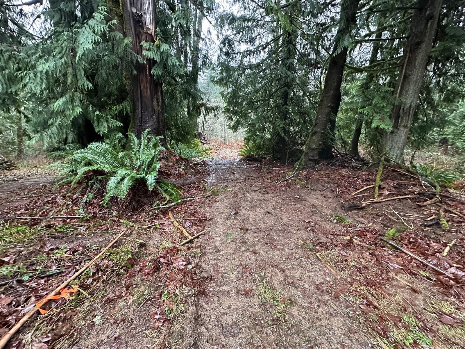 Lot B Thain Rd, Cobble Hill, BC