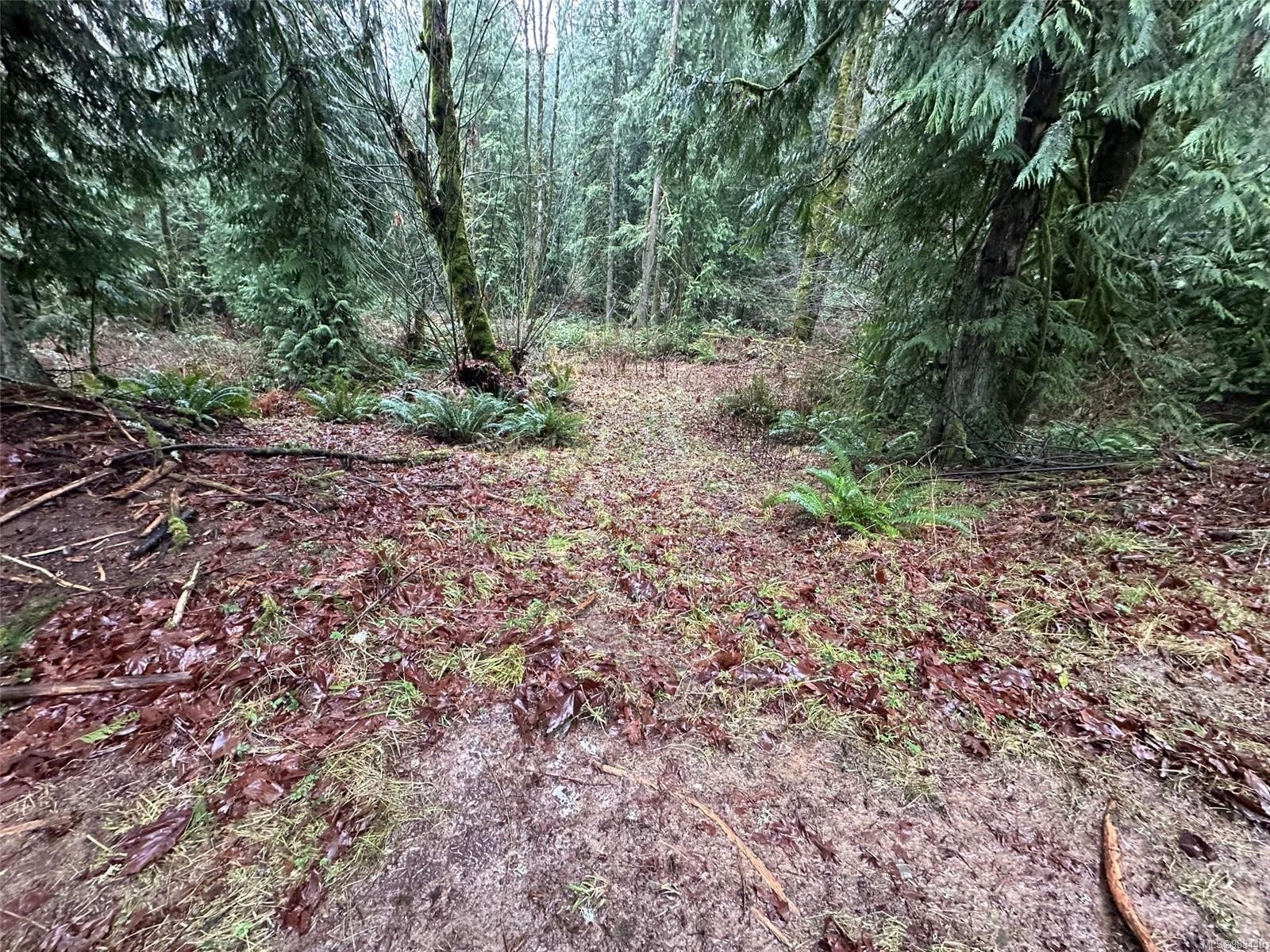 Lot B Thain Rd, Cobble Hill, BC
