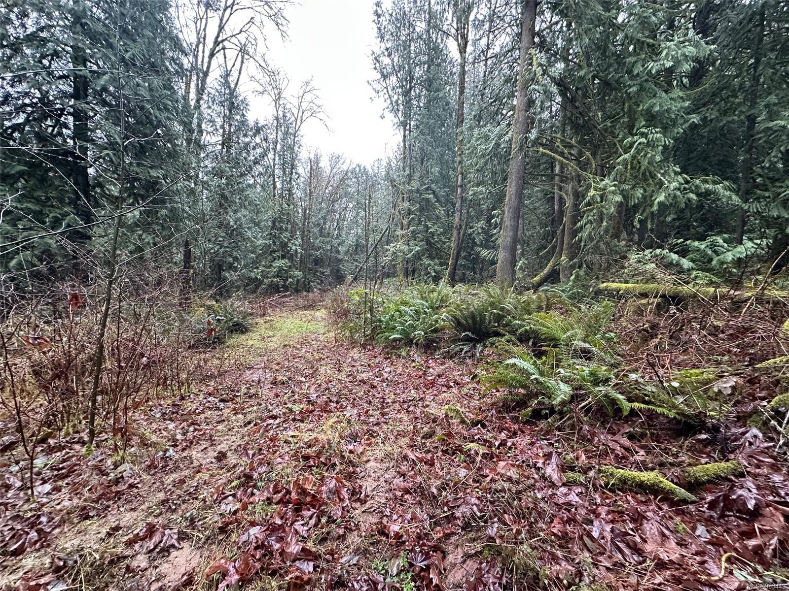 Lot B Thain Rd, Cobble Hill, BC