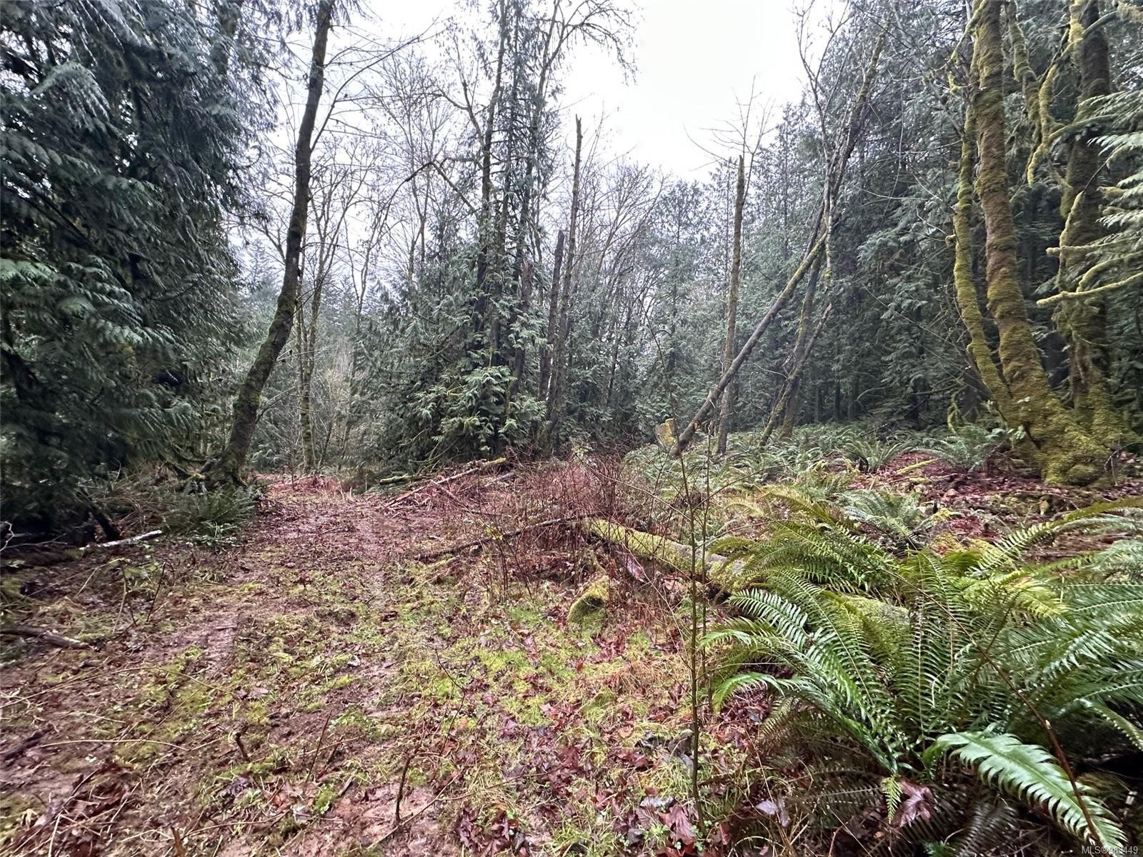 Lot B Thain Rd, Cobble Hill, BC
