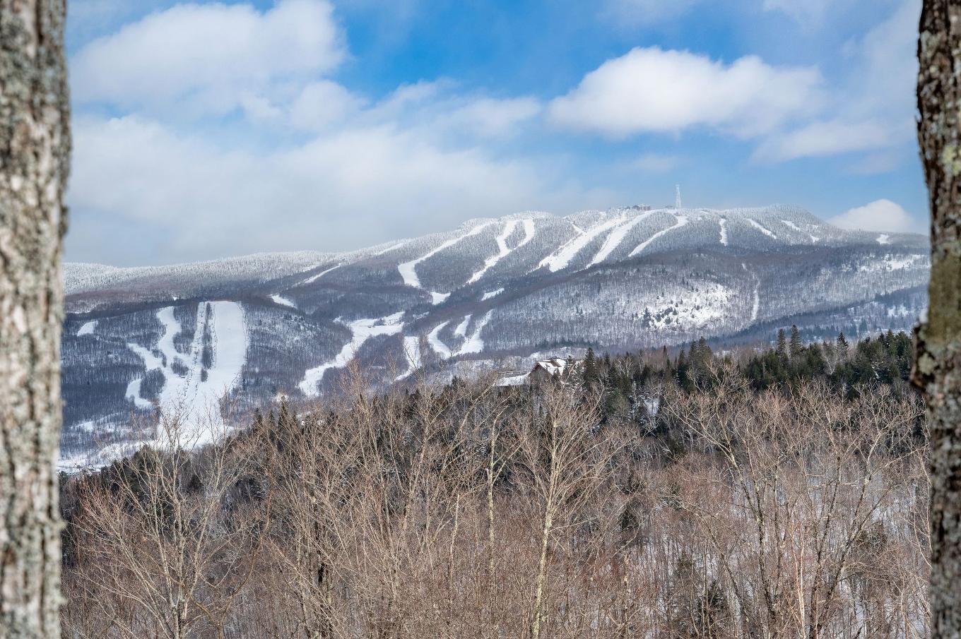 View - 105 Ch. Des Ancêtres, Mont-Tremblant, QC - Outdoor With View