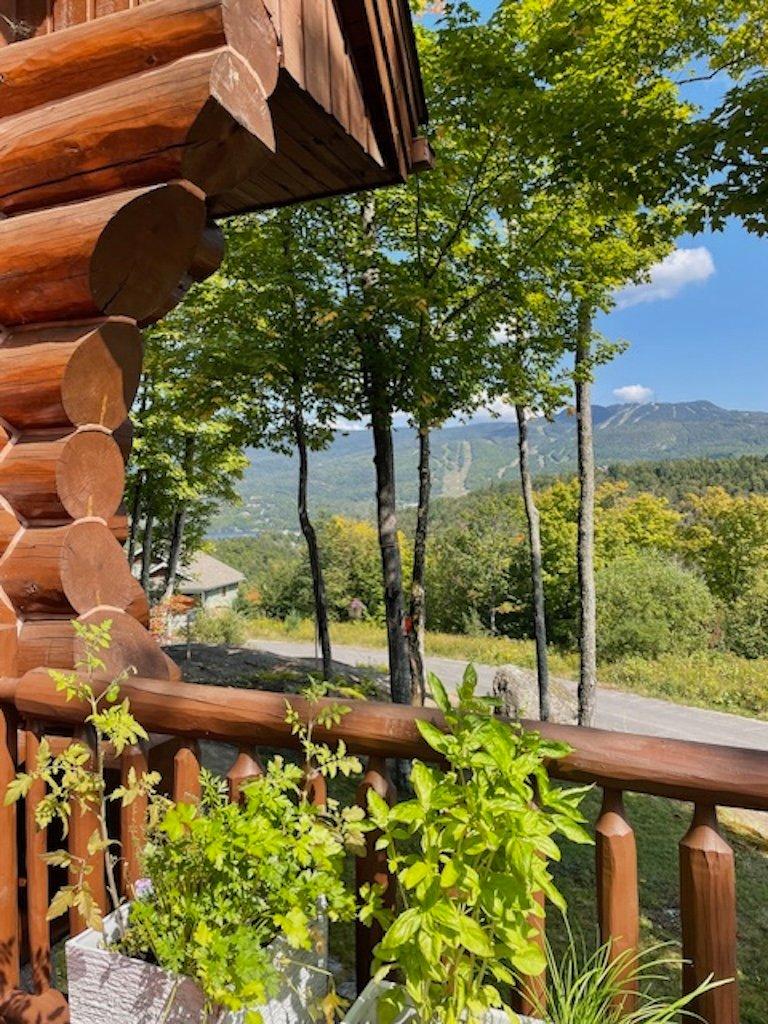 View - 105 Ch. Des Ancêtres, Mont-Tremblant, QC - Outdoor With View