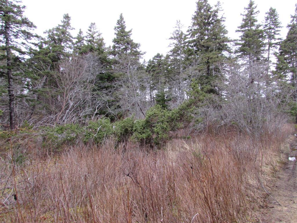 15-23 Bally Hack Road, Avondale, NL