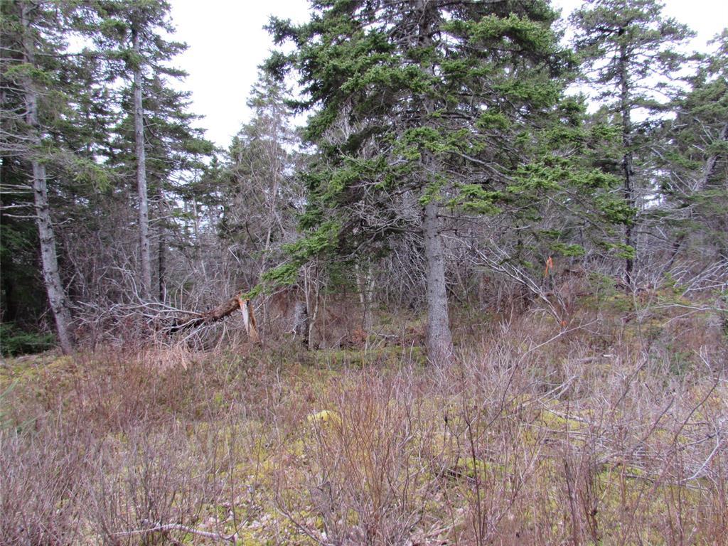 15-23 Bally Hack Road, Avondale, NL