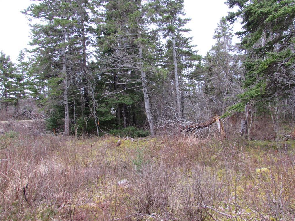 15-23 Bally Hack Road, Avondale, NL