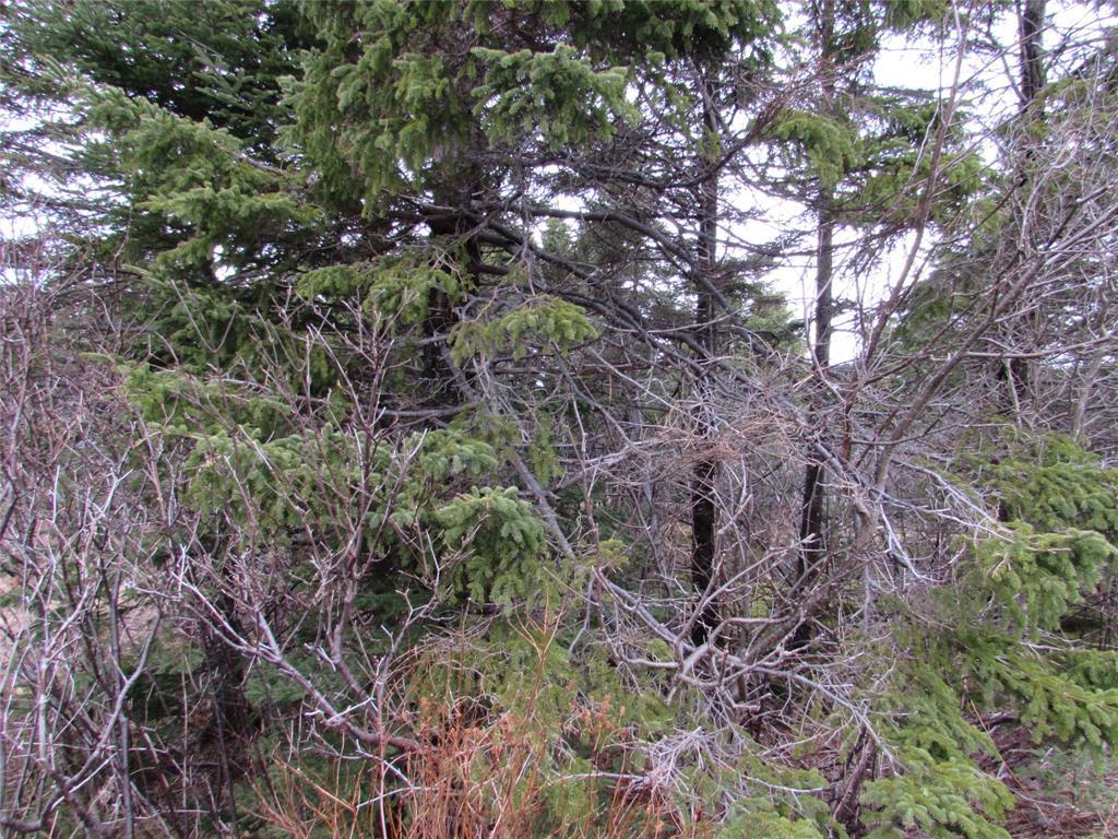 15-23 Bally Hack Road, Avondale, NL