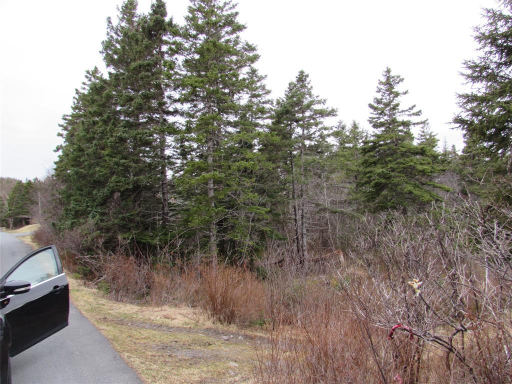 15-23 Bally Hack Road, Avondale, NL