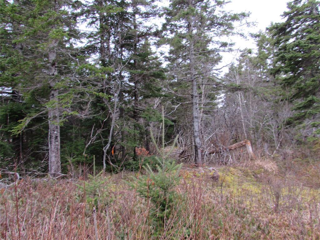 15-23 Bally Hack Road, Avondale, NL