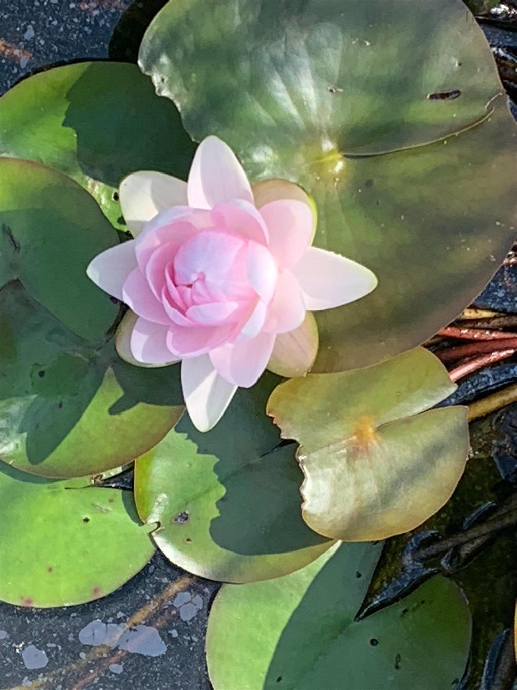 15 Nauglers Settlement Road, Moser River, NS