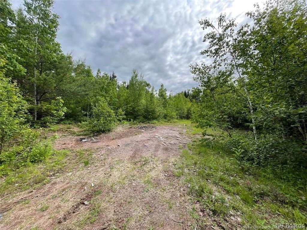 Lot Rear Hwy 101 New Maryland, Rusagonis, NB