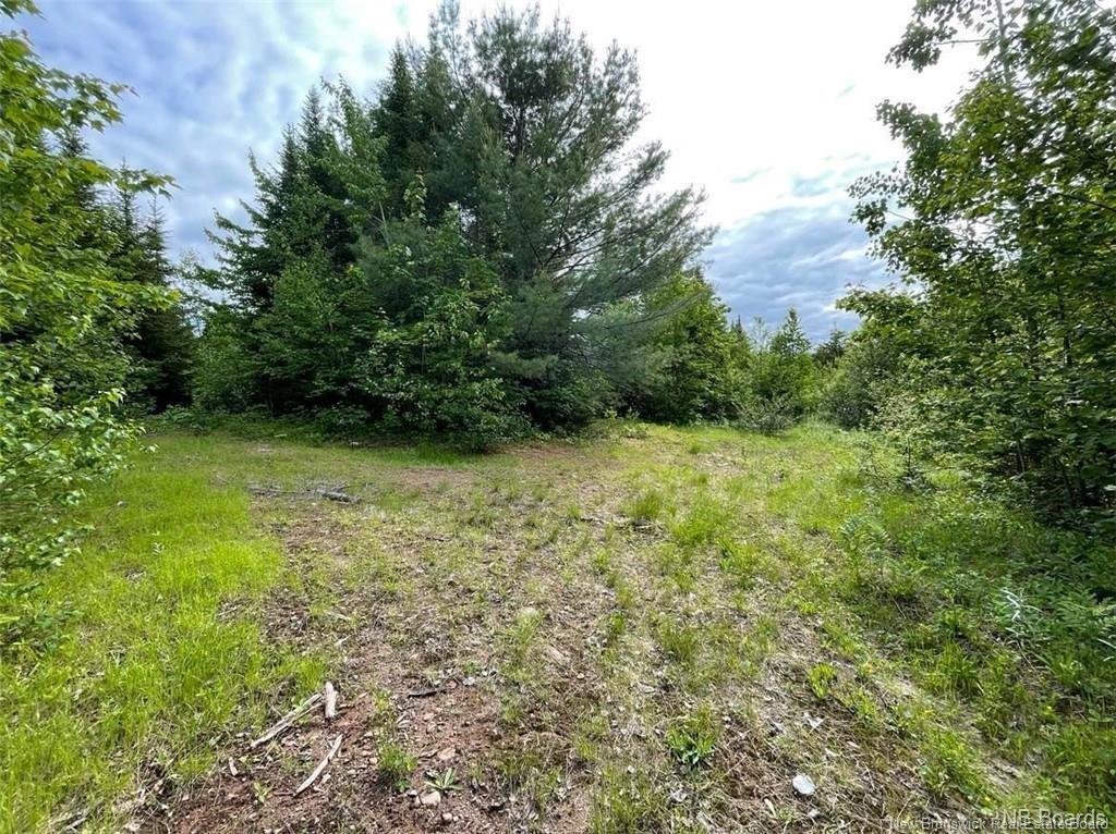 Lot Rear Hwy 101 New Maryland, Rusagonis, NB