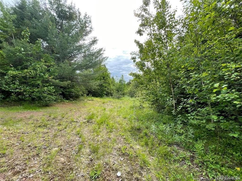 Lot Rear Hwy 101 New Maryland, Rusagonis, NB