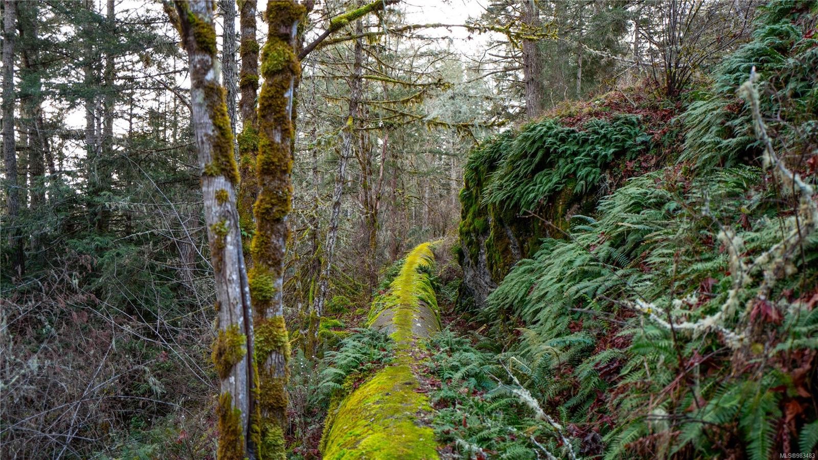 Lot Glinz Lake Rd, Sooke, BC