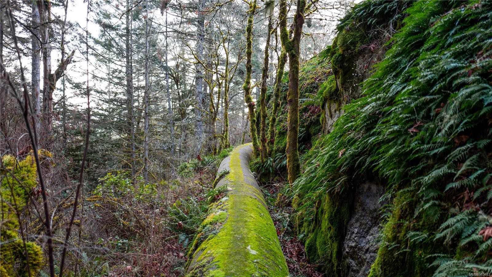 Lot Glinz Lake Rd, Sooke, BC