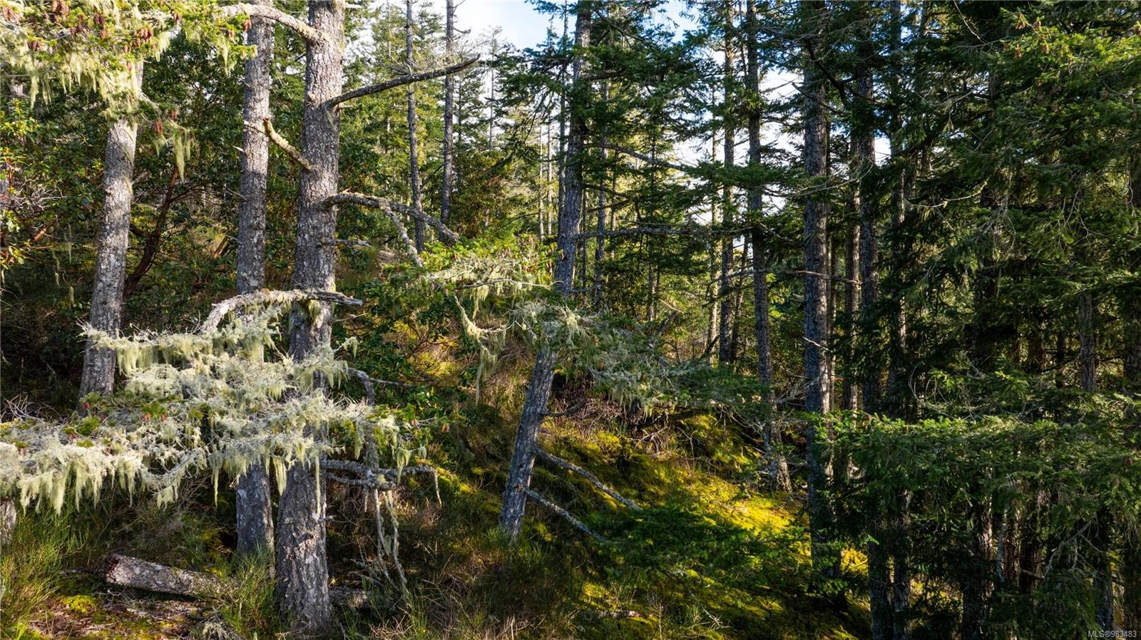 Lot Glinz Lake Rd, Sooke, BC