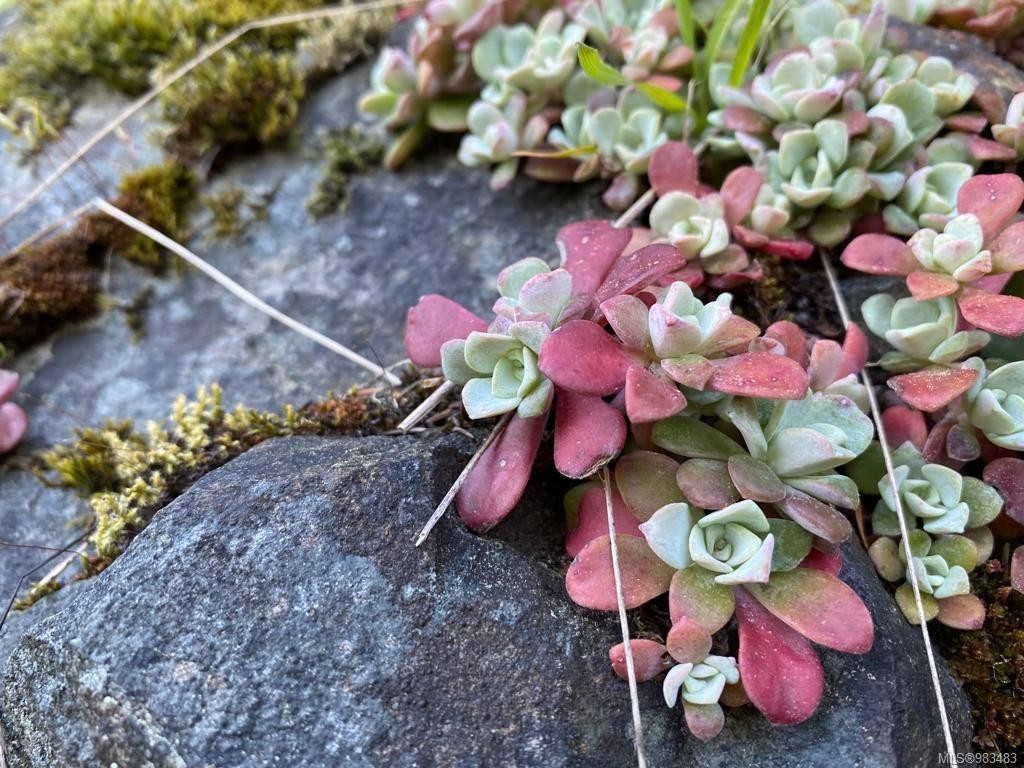Lot Glinz Lake Rd, Sooke, BC
