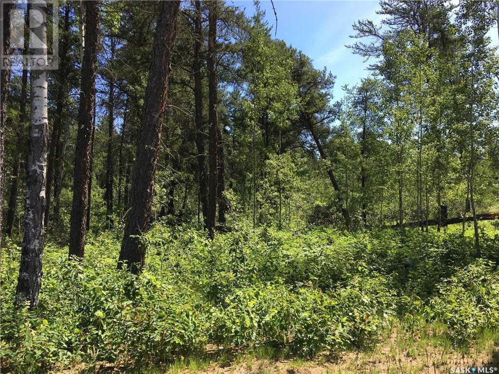 Prime Acreage Parcel 3.13 Acres, Nipawin Rm No. 487, SK
