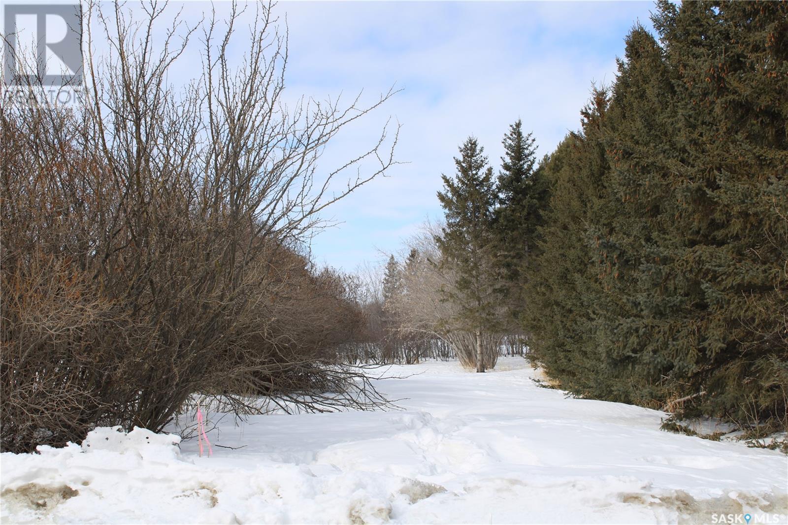 730 Broadway Street W, Orkney Rm No. 244, SK