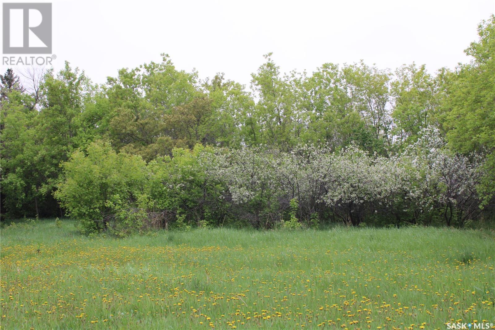 730 Broadway Street W, Orkney Rm No. 244, SK