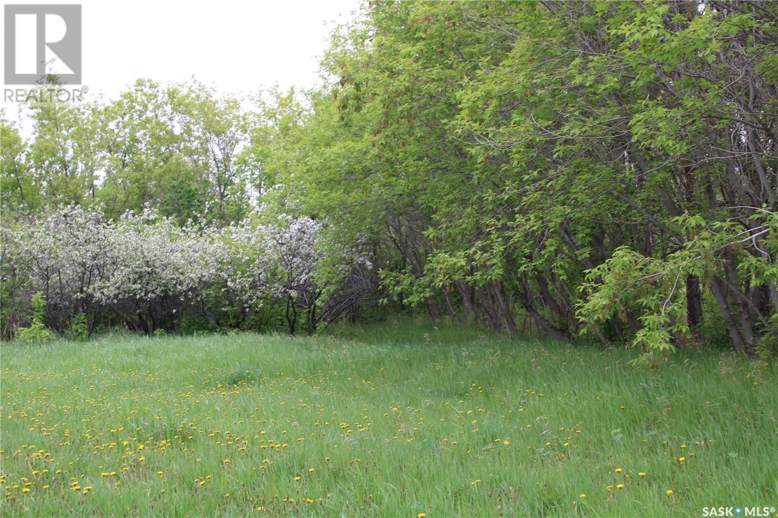 730 Broadway Street W, Orkney Rm No. 244, SK