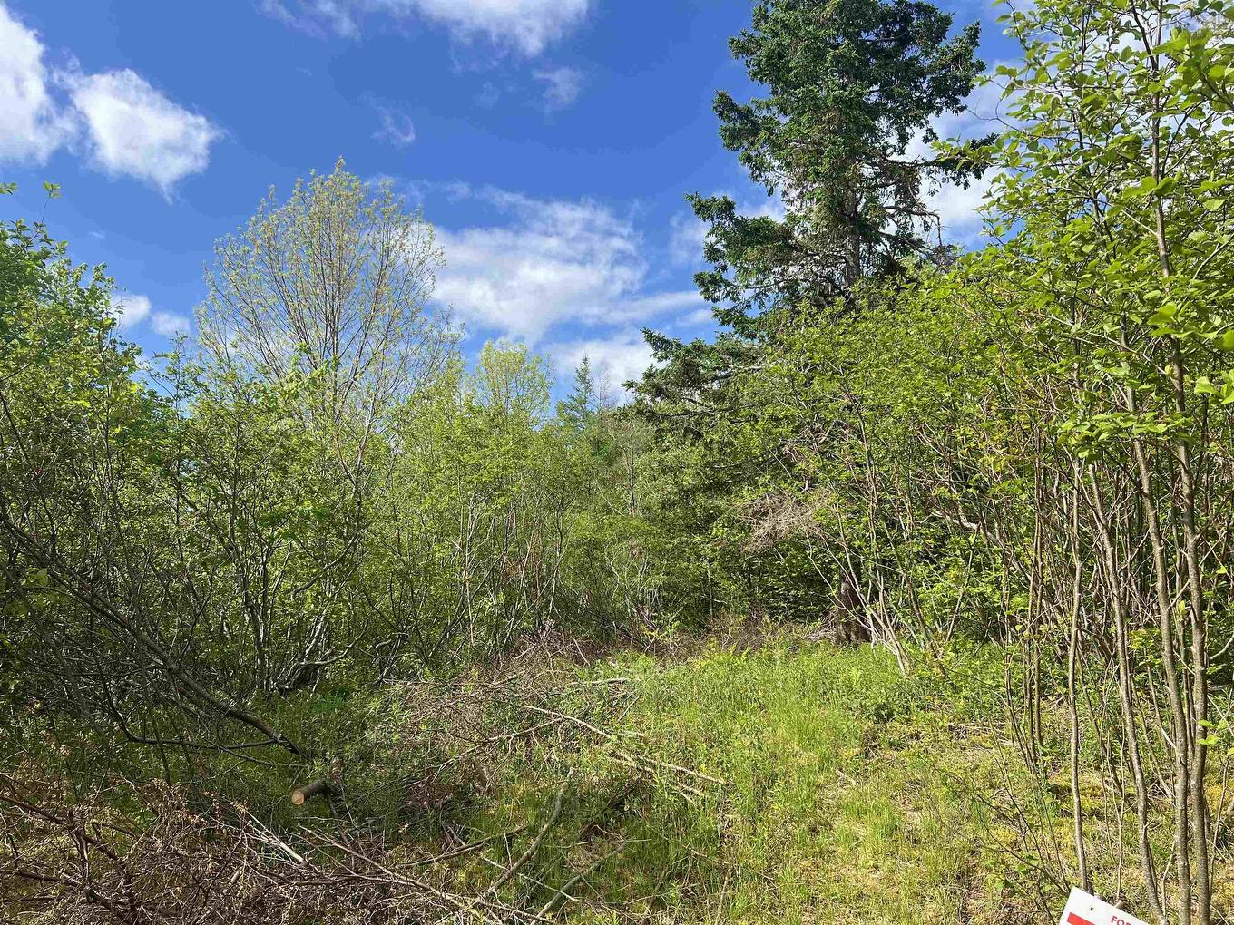 18 Jorphie Drive, East Uniacke, NS