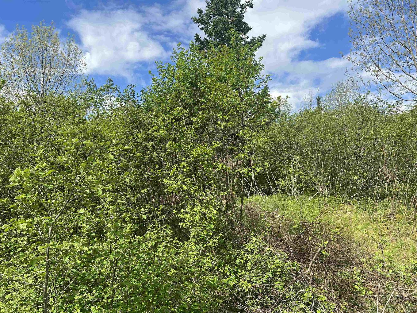 18 Jorphie Drive, East Uniacke, NS