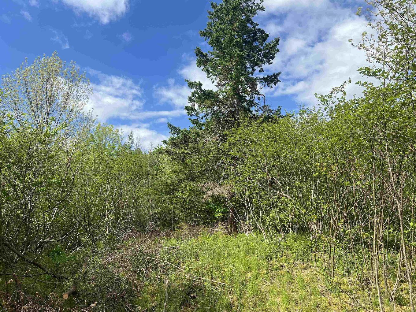 18 Jorphie Drive, East Uniacke, NS