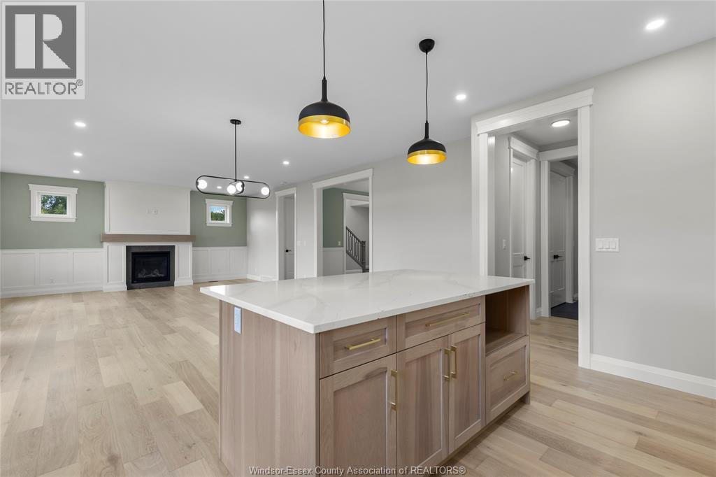 7338 Garnet Crescent, Mcgregor, ON - Indoor With Fireplace