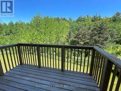 232 SUNSET VISTA CIRCUIT E Aurora, ON L4G 3Y1