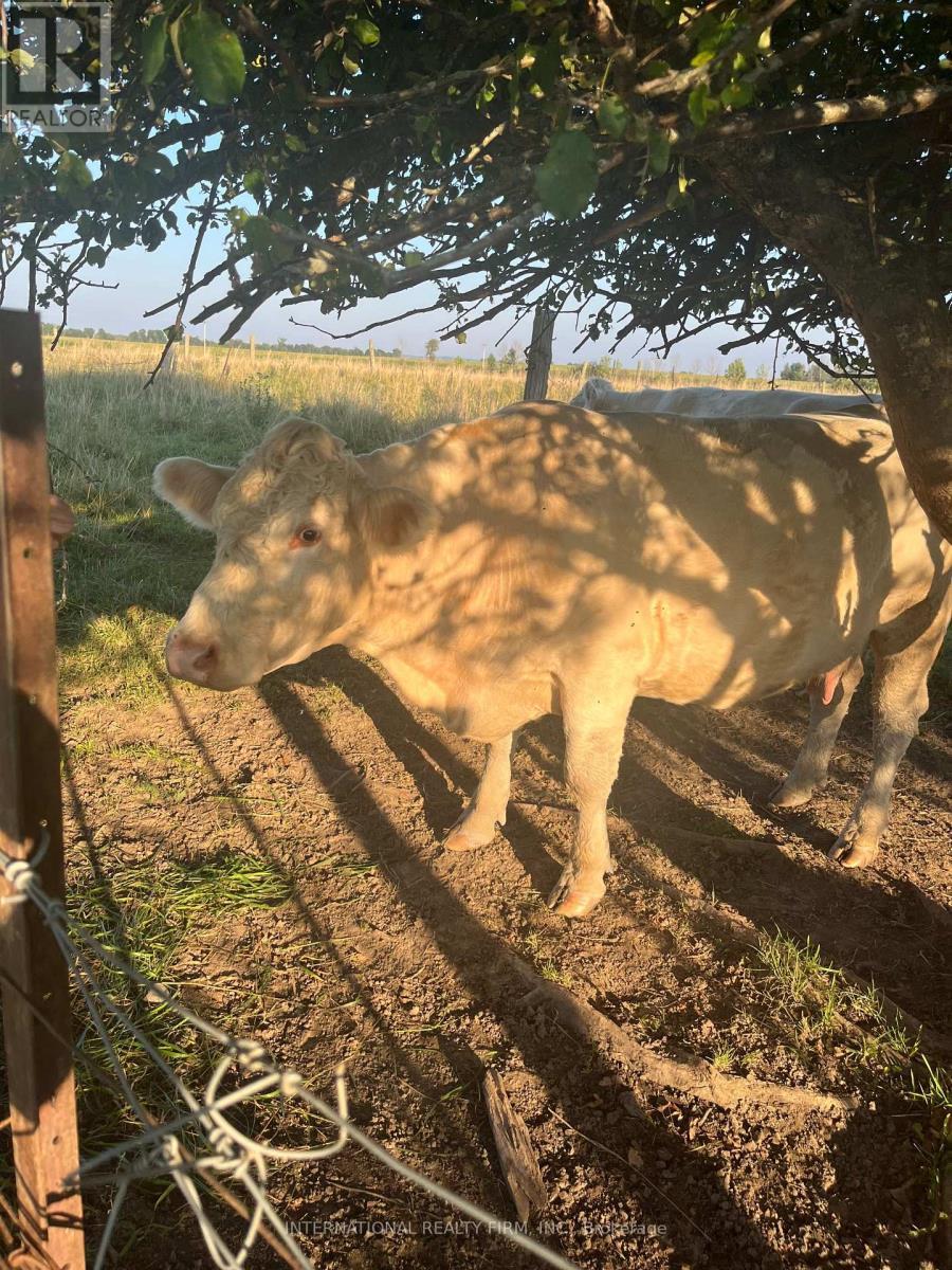 5944 10Th Line, Essa, ON