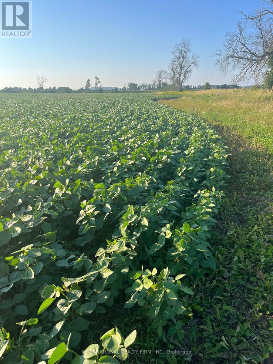 5944 10Th Line, Essa, ON