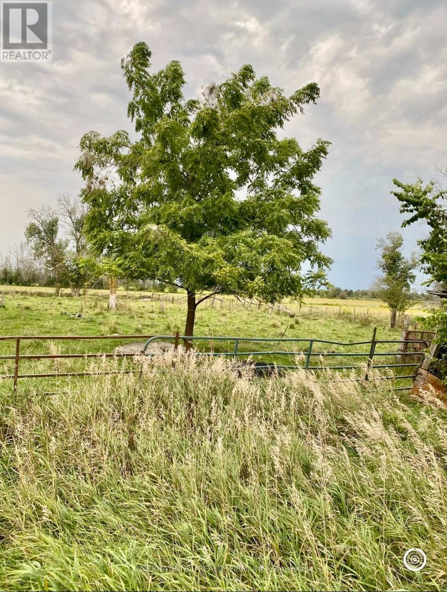 5944 10Th Line, Essa, ON