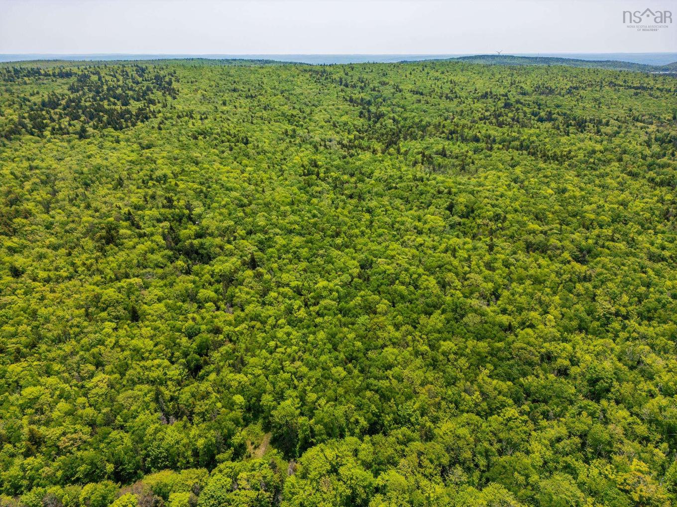 Broad Cove Road, Culloden, NS