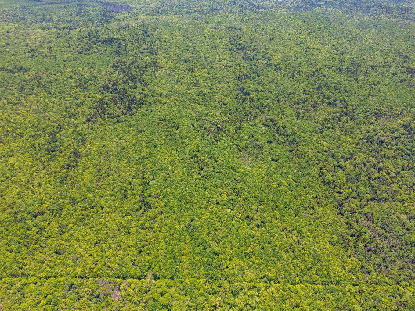 Broad Cove Road, Culloden, NS