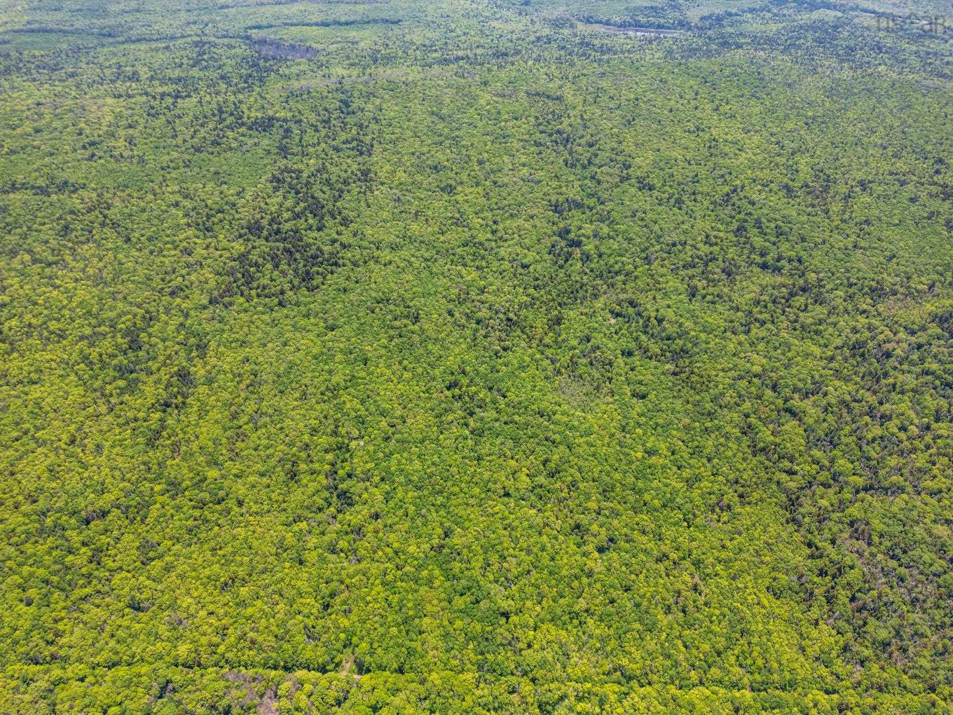 Broad Cove Road, Culloden, NS