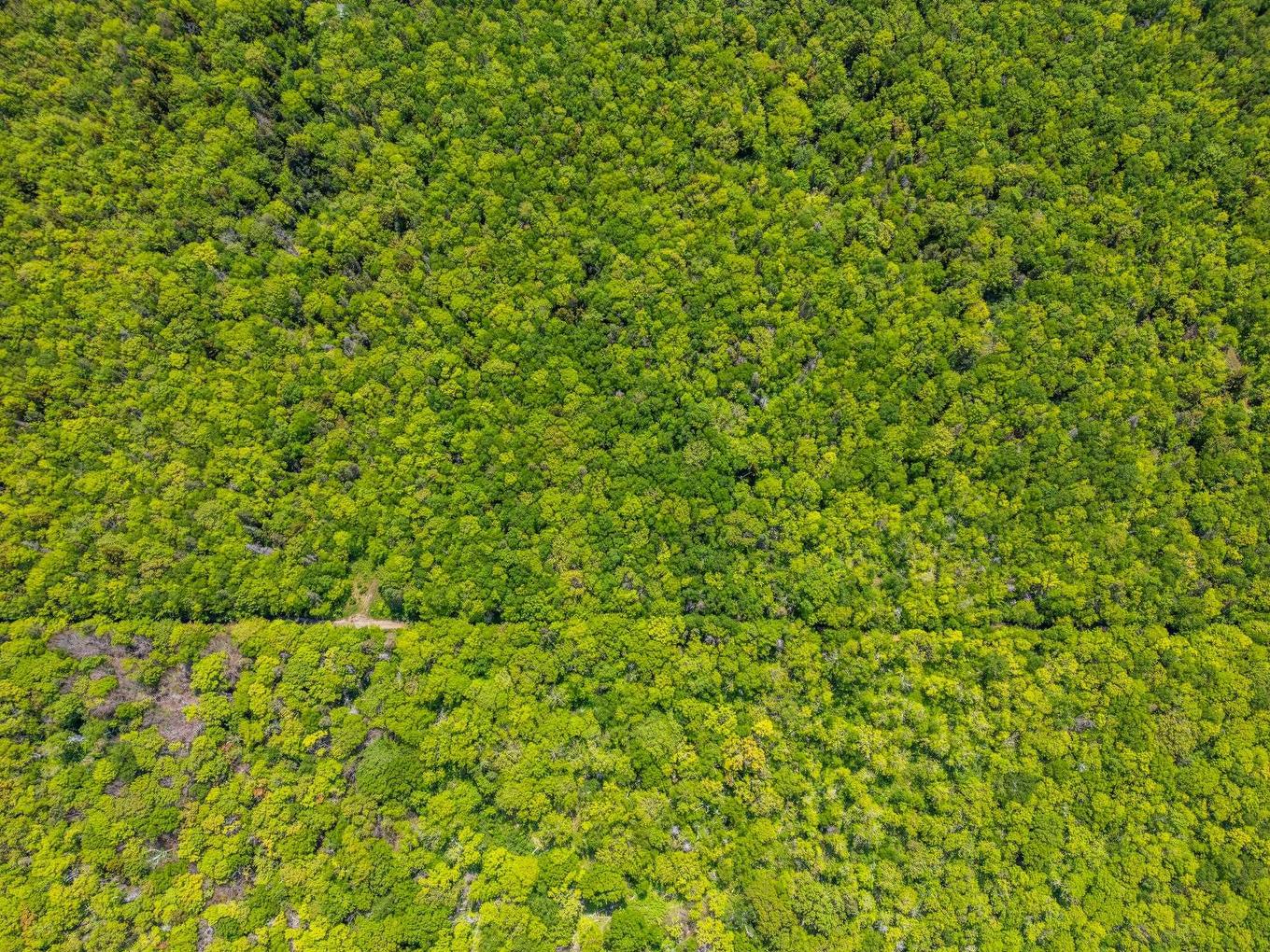 Broad Cove Road, Culloden, NS