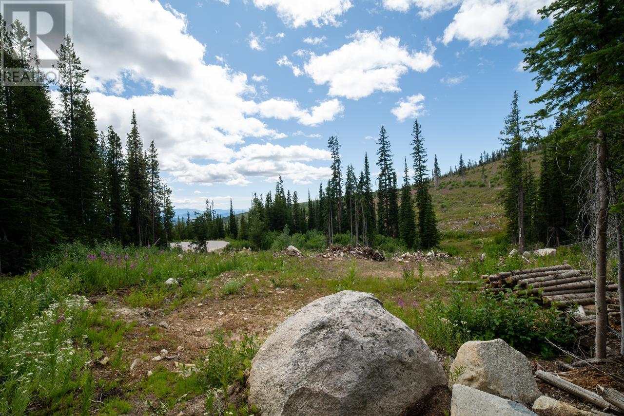 369 Buck Road, Mount Baldy, BC