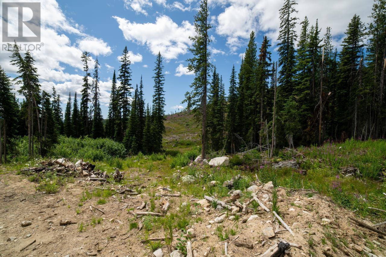 369 Buck Road, Mount Baldy, BC