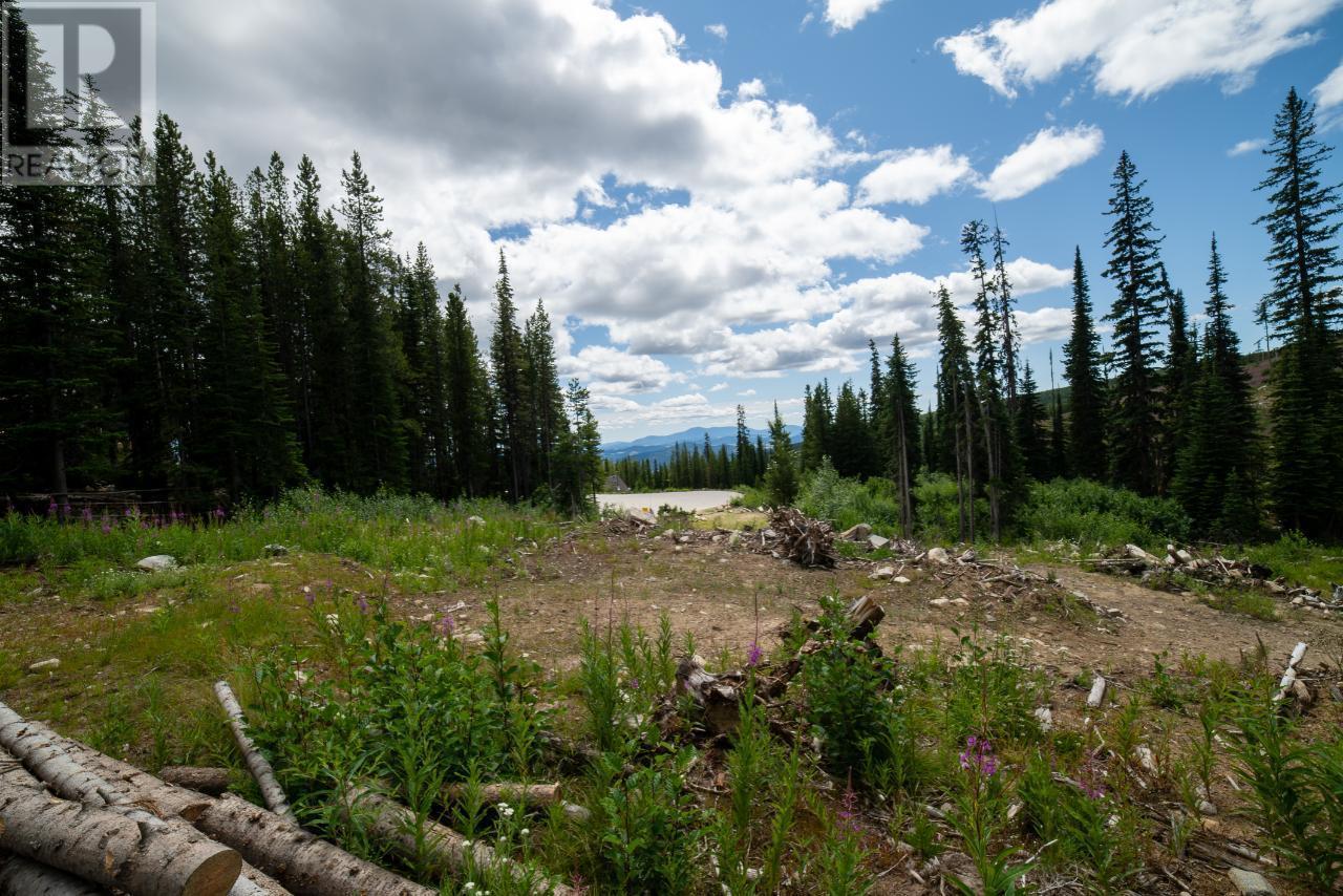 369 Buck Road, Mount Baldy, BC