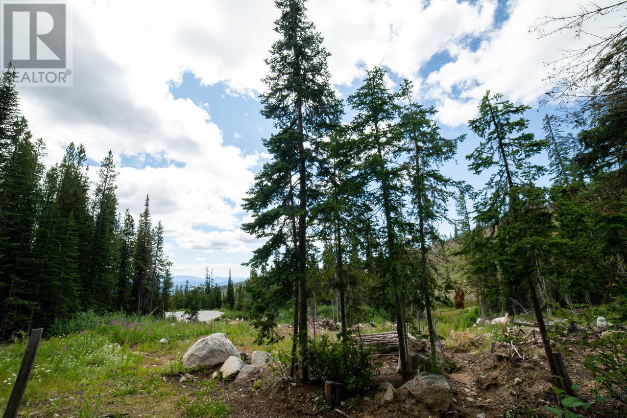 369 Buck Road, Mount Baldy, BC