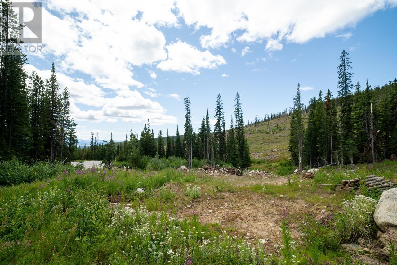 369 Buck Road, Mount Baldy, BC