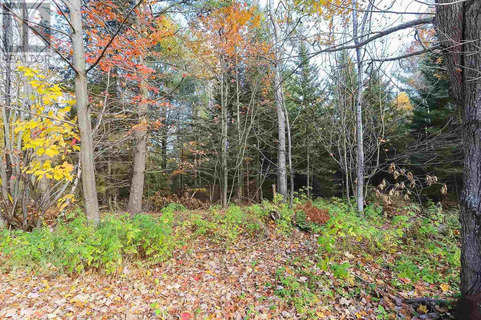 Lot 18 Nokomis Beach Rd, Sault Ste. Marie, ON