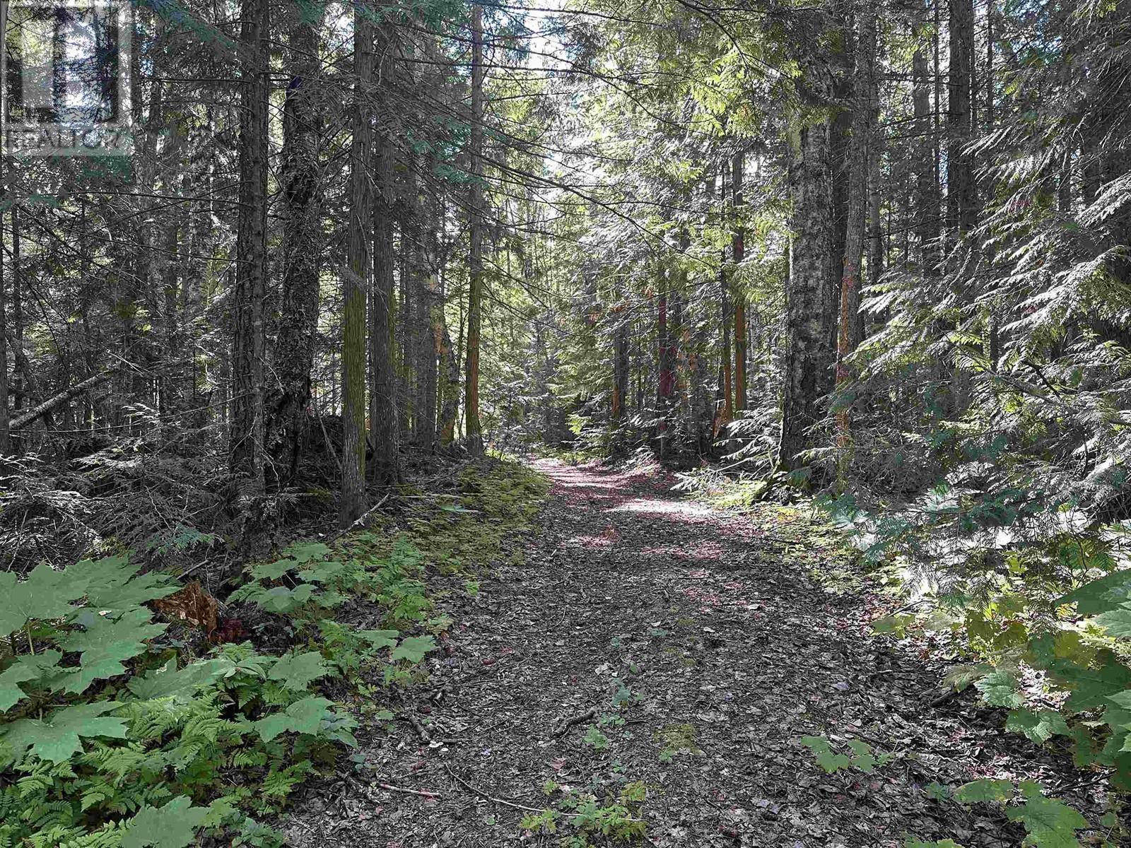 5973 Cedar Creek Road, Likely, BC - Outdoor