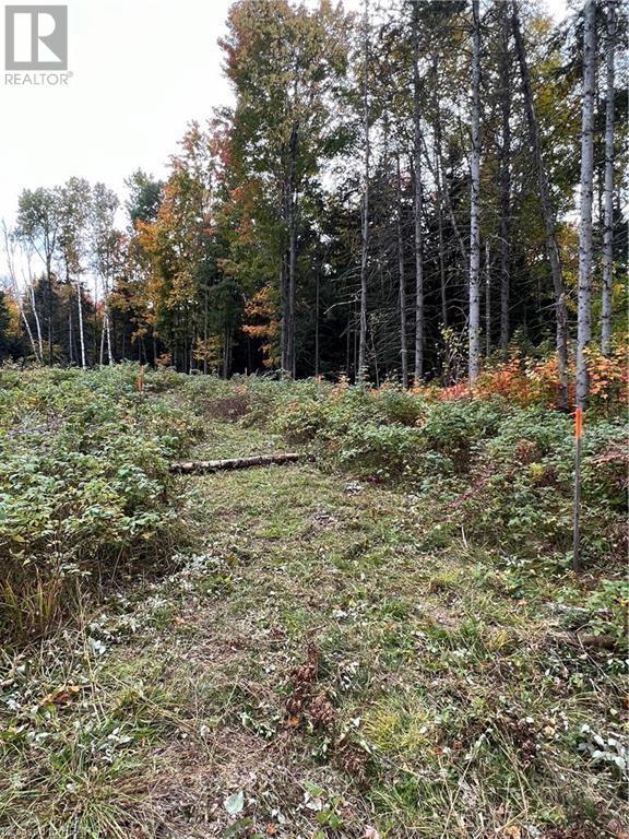 1759 Alsace Road, Nipissing, ON