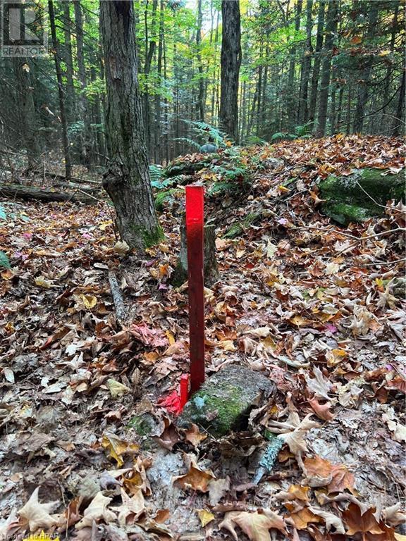 1759 Alsace Road, Nipissing, ON