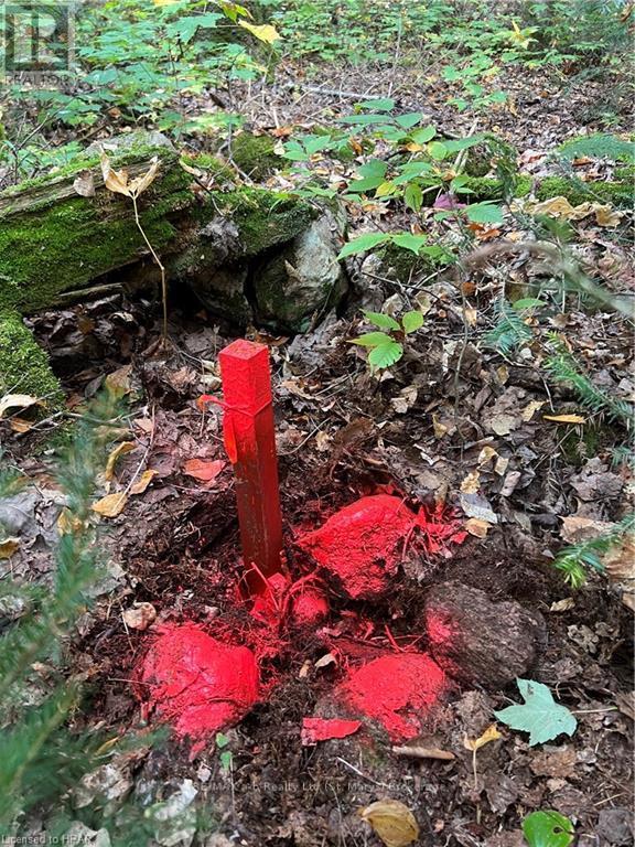 1759 Alsace Road, Nipissing, ON