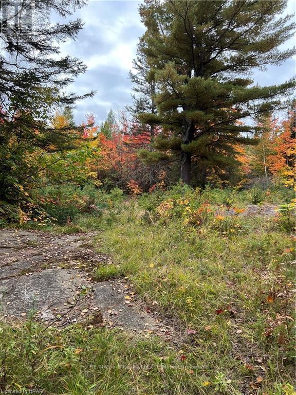 1759 Alsace Road, Nipissing, ON