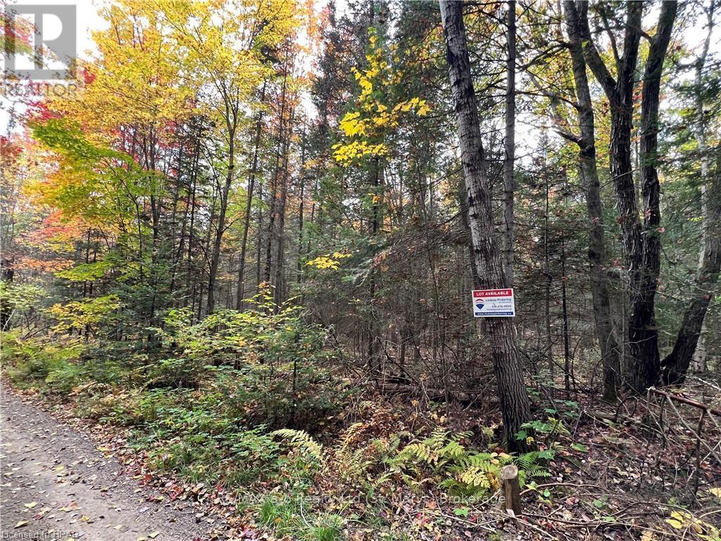 1759 Alsace Road, Nipissing, ON