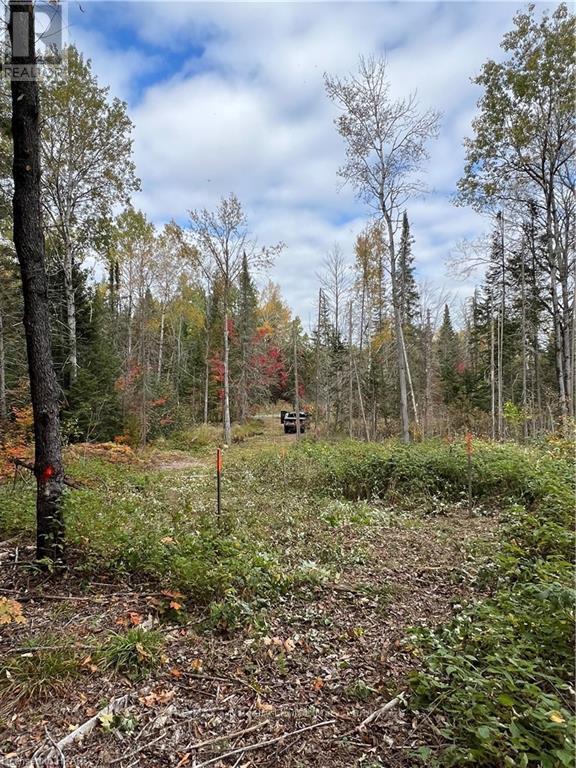 1759 Alsace Road, Nipissing, ON