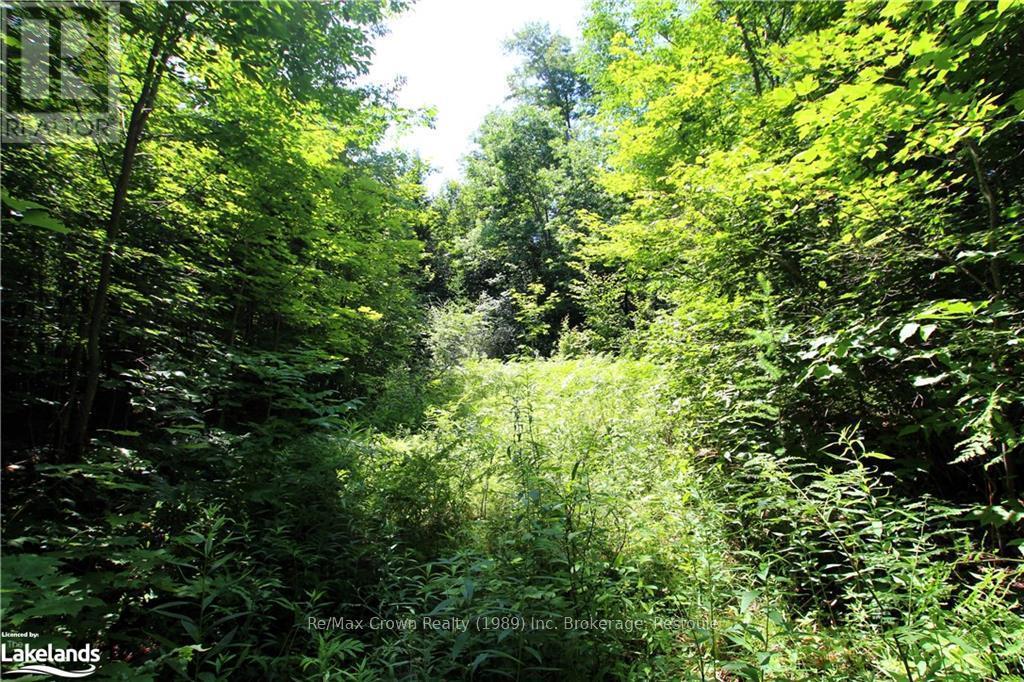 0A 20Th Side Rd, Parry Sound Remote Area (Mcconkey), ON